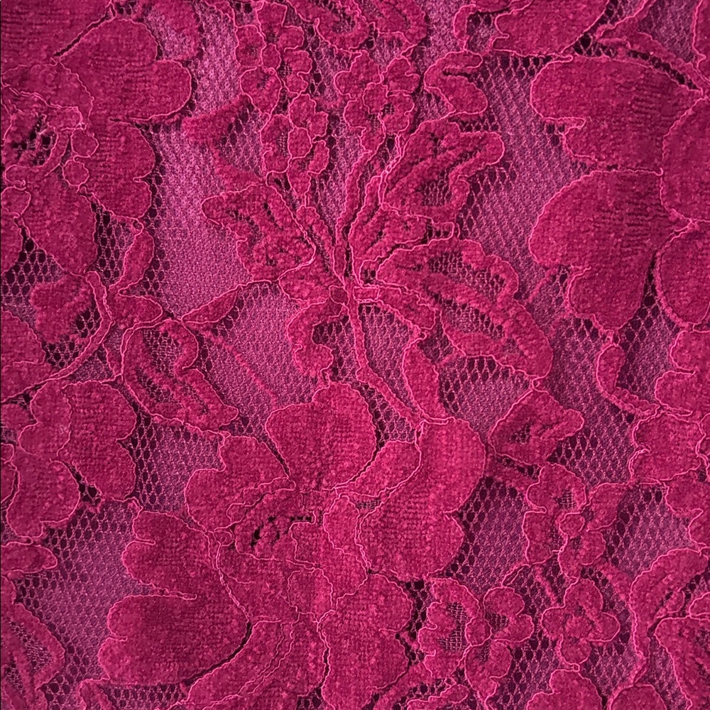 Anthropologie Blue tassel size M Elegant Lace Rapsberry Top - Picture 5 of 6